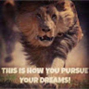 Meet your Posher, Thrash